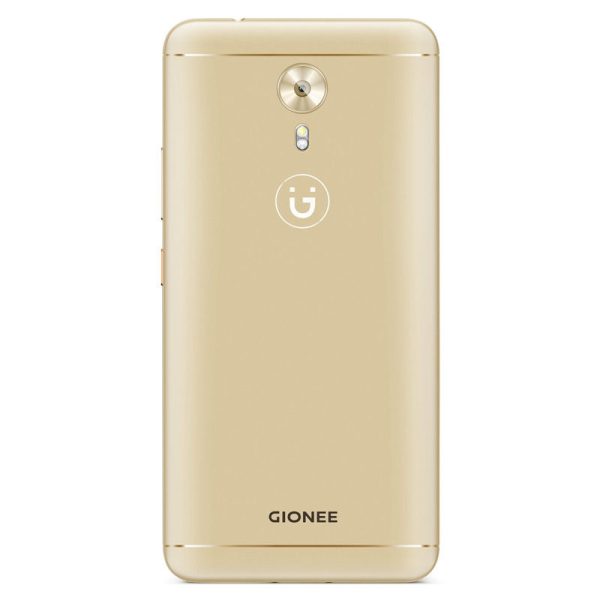 A1 Gold Back