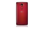 Flex 2 Red Back