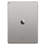 Pro 12.9 Grey Back