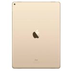 Pro 9.7 Gold Back