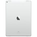 Pro 9.7 Silver Back