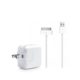 iPhone 4 charger 2